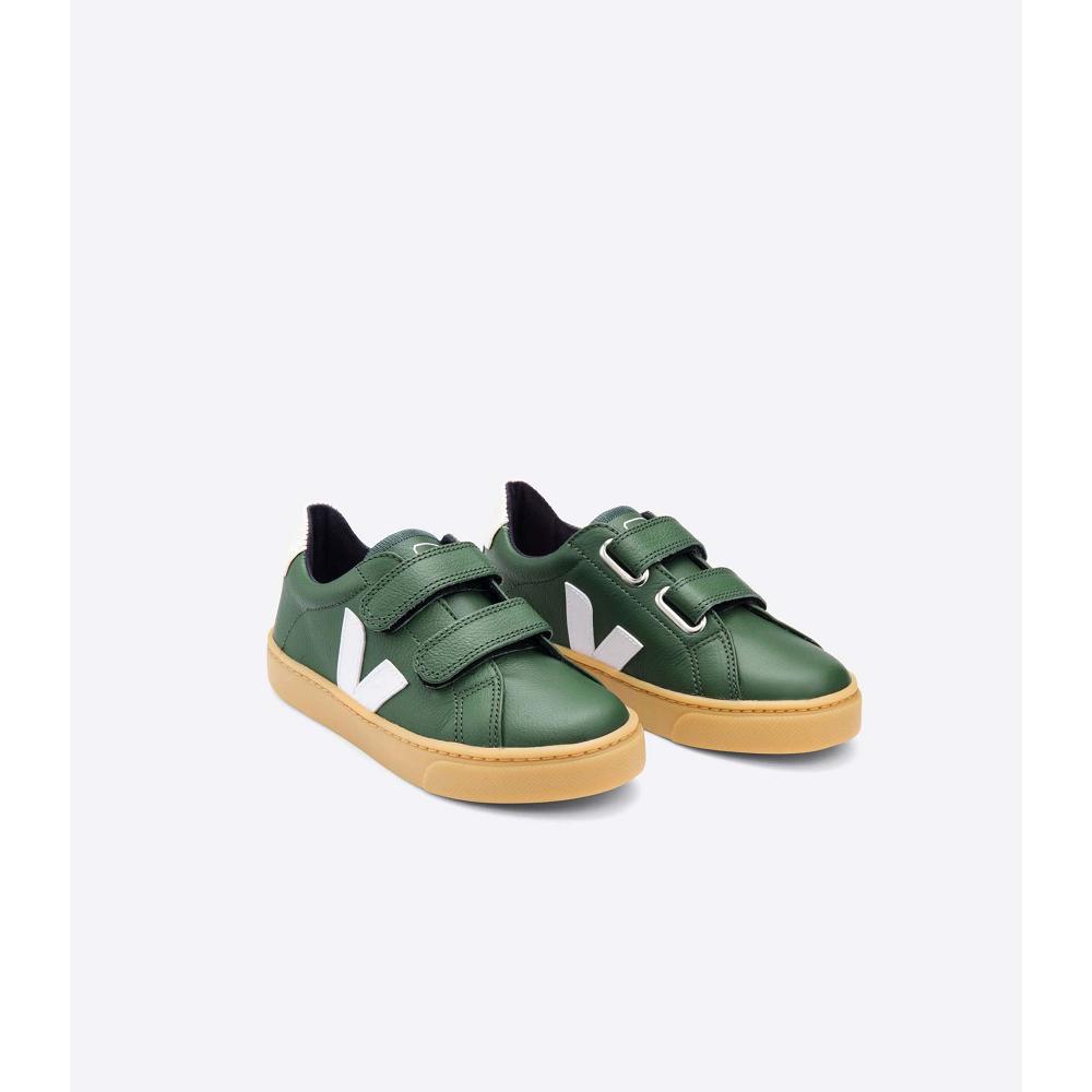 Kids' Veja ESPLAR LEATHER Shoes Green | ZA 736TCE